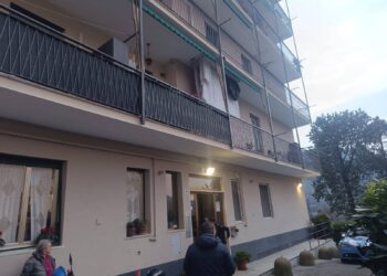 Genova, donna uccisa a coltellate: arrestato il figlio